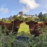 Mobil Avec Terrasse - 3 Pers. - Api-1-52-2036 キャンプ場 La Tour-dʼAuvergne