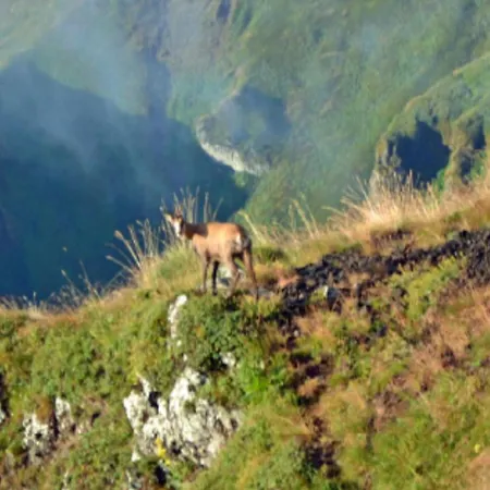 Mobil Avec Terrasse - 3 Pers. - Api-1-52-2036 * La Tour-d'Auvergne