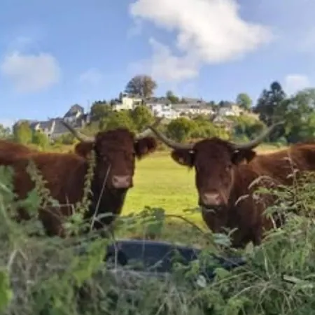 Mobil Avec Terrasse - 3 Pers. - Api-1-52-2036 Campsite La Tour-d'Auvergne