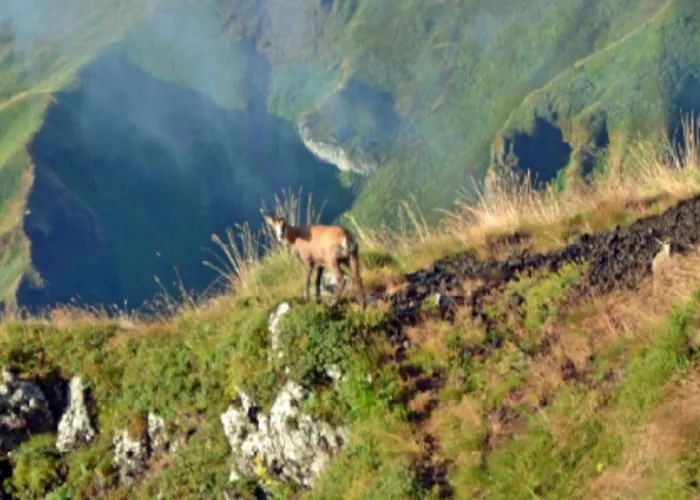 Mobil Avec Terrasse - 3 Pers. - Api-1-52-2036 * Ла-Тур-д'Овернь