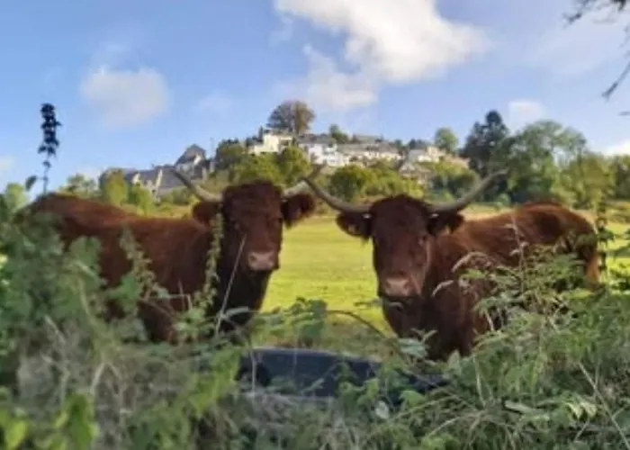 Mobil Avec Terrasse - 3 Pers. - Api-1-52-2036 Campsite La Tour-d'Auvergne